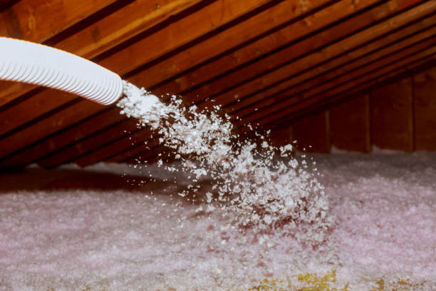 Best Types of Insulation in Elroy, NC